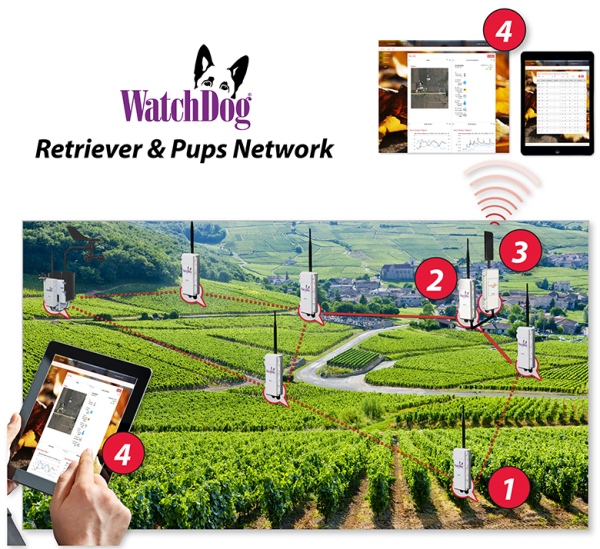 Интегрированное беспроводное решение для агронома  SpecConnect